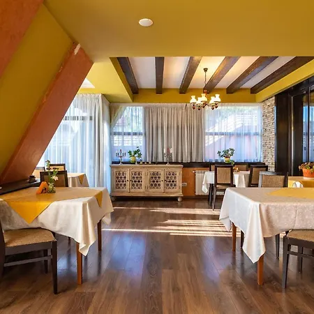Casa Freya Buşteni