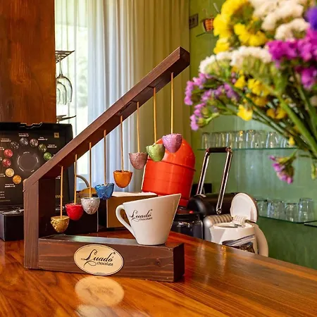 Casa Freya 4* Buşteni